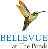 Bellevue at The Ponds